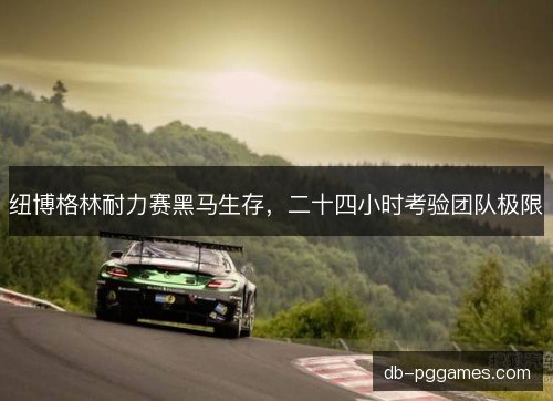 纽博格林耐力赛黑马生存,二十四小时考验团队极限 纽博格林耐力赛黑马生存,二十四小时考验团队极限