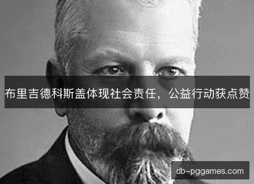 布里吉德科斯盖体现社会责任，公益行动获点赞